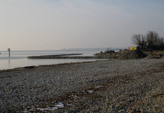 Arbeiten am See Baufortschritt _48_.jpg