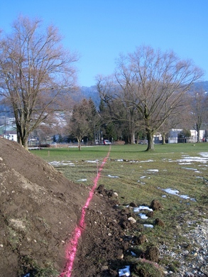 Arbeiten am See Baufortschritt _53_.jpg