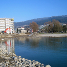 Arbeiten am See Baufortschritt _58_.jpg