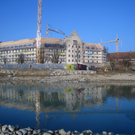 Arbeiten am See Baufortschritt _61_.jpg