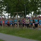foto-lerch-090612214.jpg