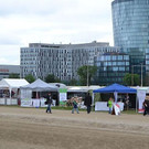 DSC_2601.jpg