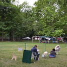DSC_2609.jpg
