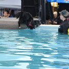 DSC_2627.jpg