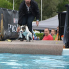 DSC_2658.jpg