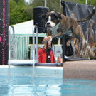 DSC_2664.jpg