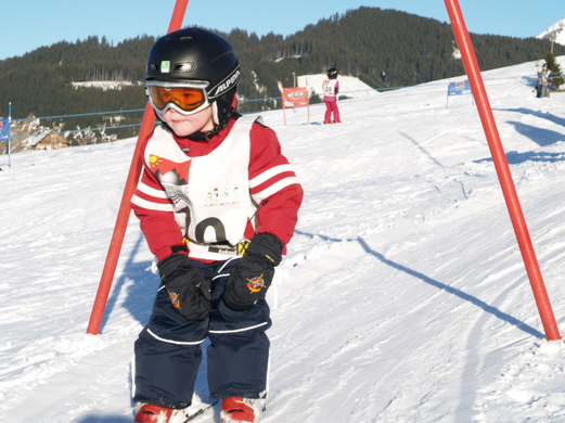 P1236563.jpg