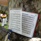 Harmoniemusik Tschagguns - 177 - Copyright by Gerhard Scopoli.jpg
