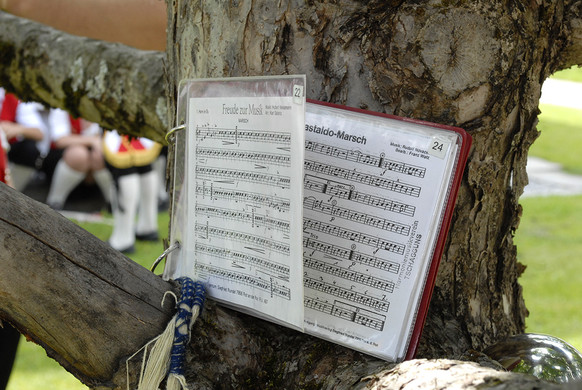 Harmoniemusik Tschagguns - 177 - Copyright by Gerhard Scopoli.jpg