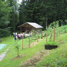 236.jpg