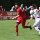 Rankl - Egg  2012 061.jpg
