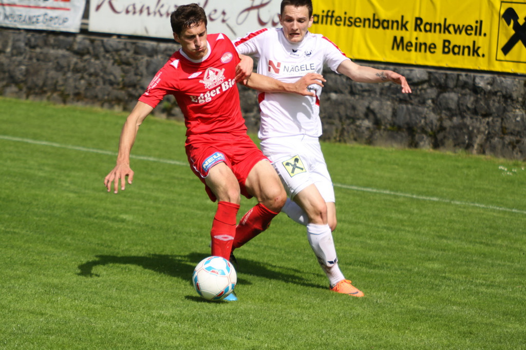 Rankl - Egg  2012 168.jpg