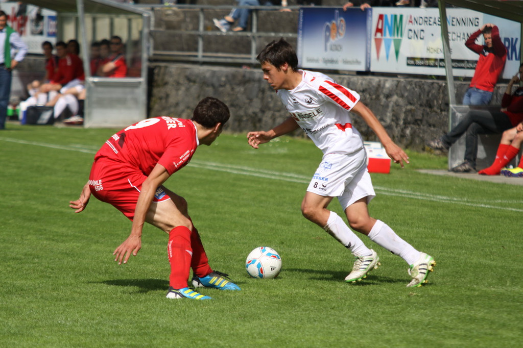 Rankl - Egg  2012 212.jpg