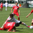 Rankl - Egg  2012 221.jpg
