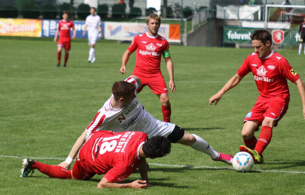 Rankl - Egg  2012 221.jpg