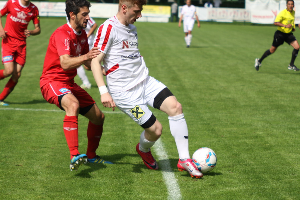 Rankl - Egg  2012 229.jpg