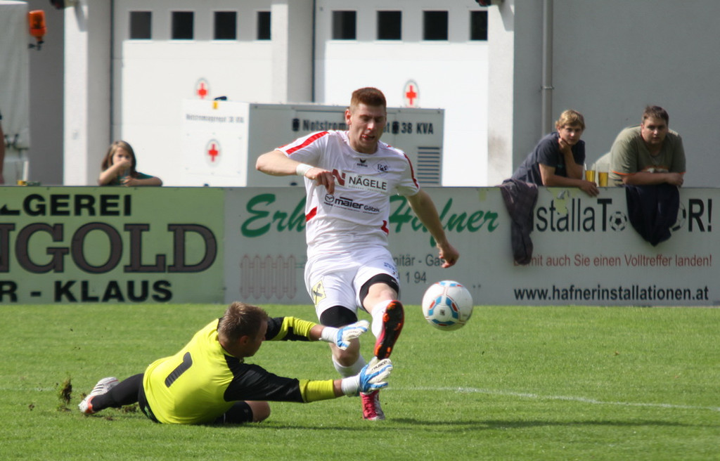 Rankl - Egg  2012 293.jpg
