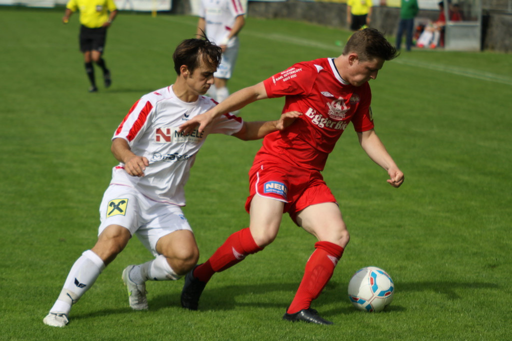 Rankl - Egg  2012 302.jpg