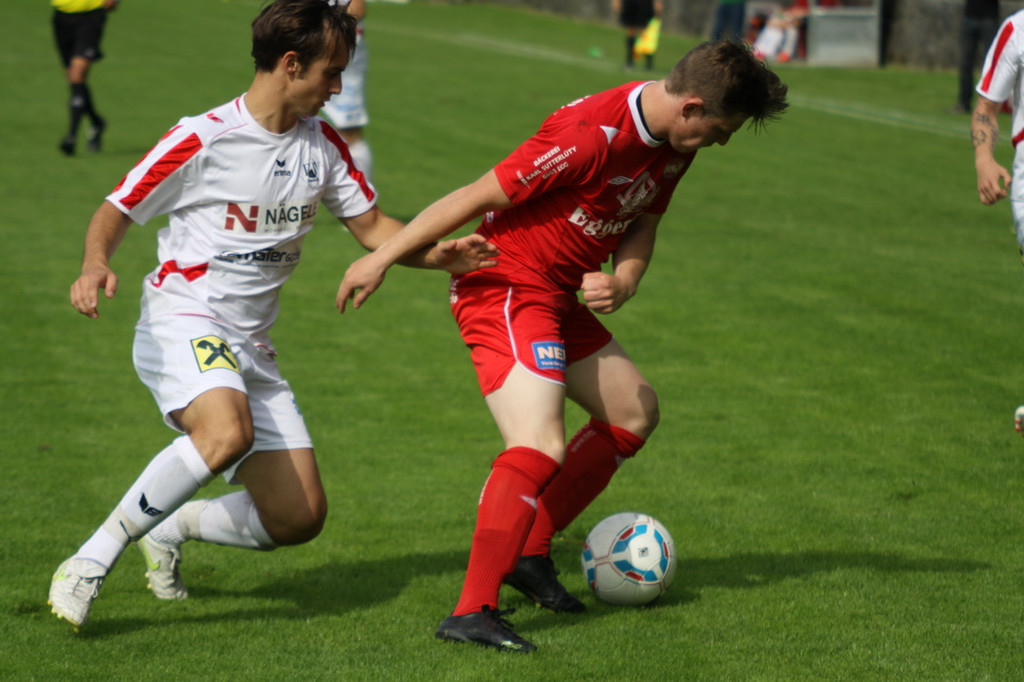 Rankl - Egg  2012 303.jpg