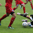 Rankl - Egg  2012 425.jpg