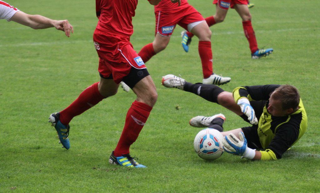 Rankl - Egg  2012 425.jpg