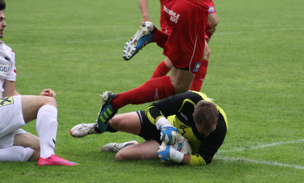 Rankl - Egg  2012 426.jpg