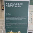 IMG_9199_jpg-1339401586