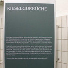 IMG_9245_jpg-1339401614