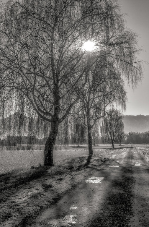 Anton_K__nig_Gegenlicht_jpg-1339402074