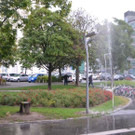 DSC_2873.jpg