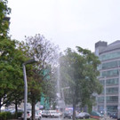 DSC_2874.jpg