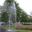 DSC_2875.jpg