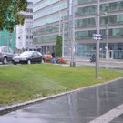 DSC_2876.jpg
