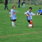 Juni 4 067.JPG