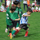 Juni 4 068.JPG