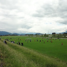 DSC00916.JPG