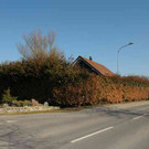 Haus6.jpg