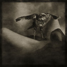 WERNER_BRANZ_PR02_jpg-1339411288