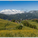 _MG_7646.jpg