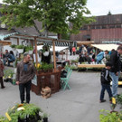 Bilder vom Gartenmarkt