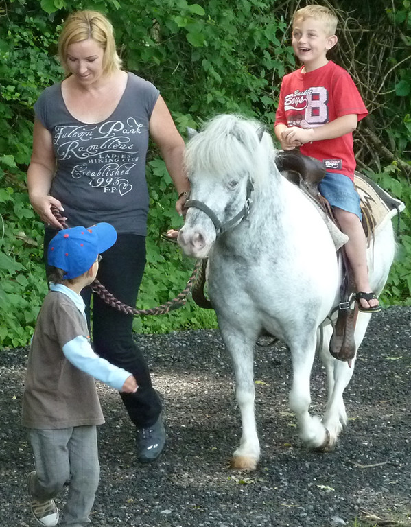 Schwefel9aPony_jpg-1339537848