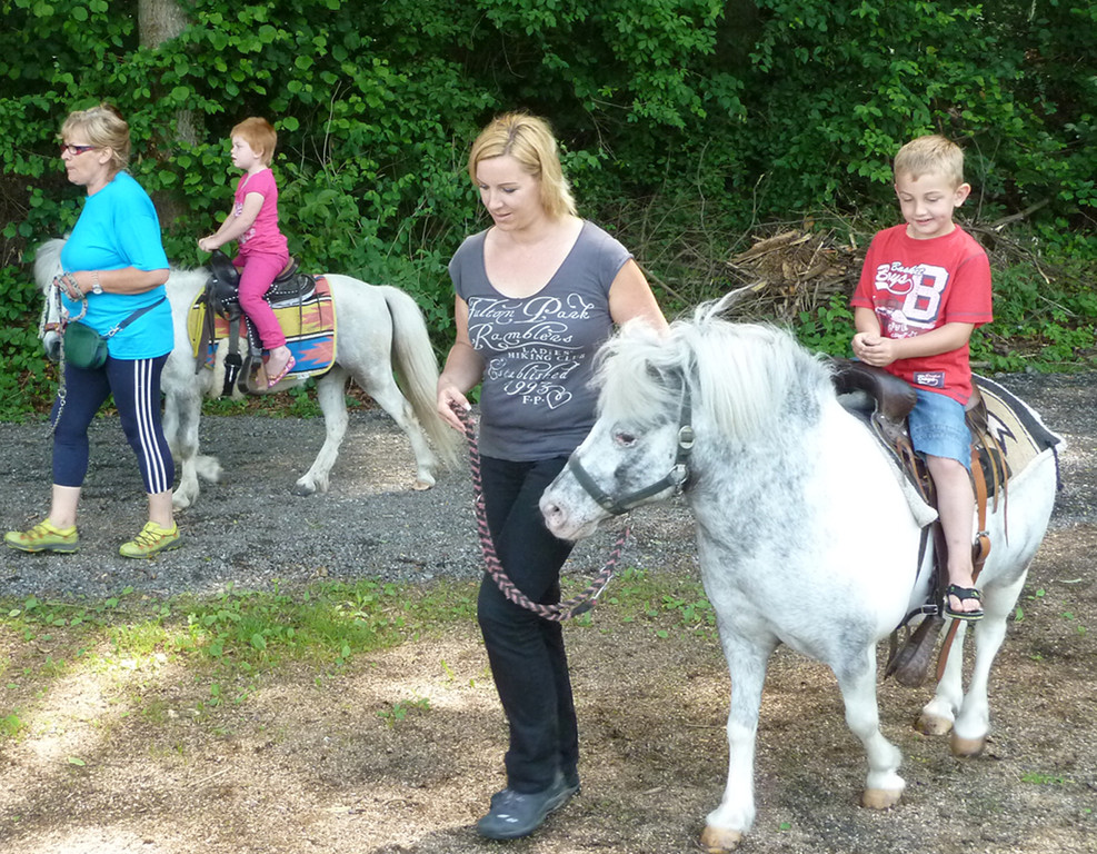 Schwefel9Pony_jpg-1339537862