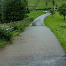 12062012wasserde01001aktivnews_16.jpg