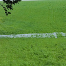 12062012wasserde01001aktivnews_23.jpg