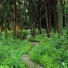 12062012wasserde01001aktivnews_35.jpg