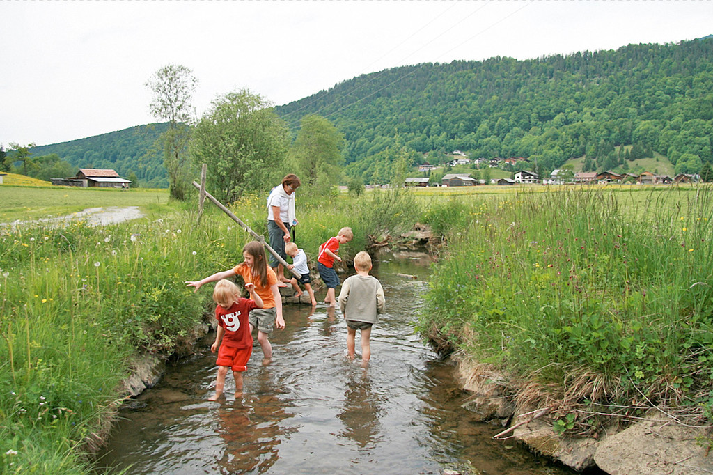 Barfu__weg Bizau gr_jpg-1339579880