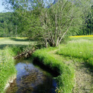 Barfu__weg Bizau_JPG-1339579894