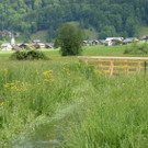 Neue Stege 2_jpg-1339579937