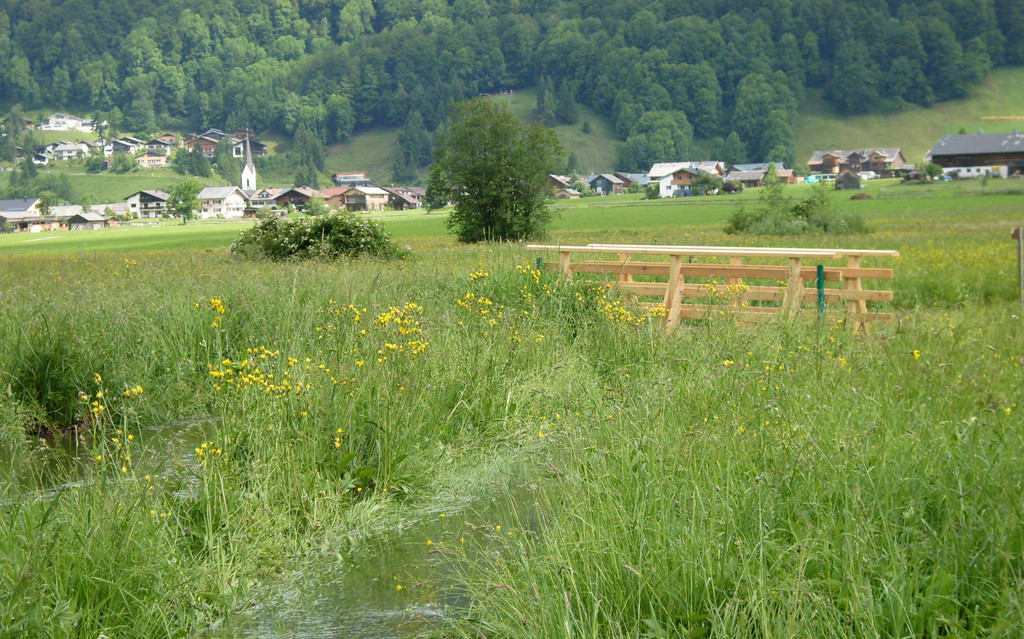Neue Stege 2_jpg-1339579937