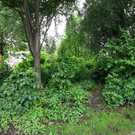 normal_12062012fmt_drhanslechnerplatz_mw_04.JPG